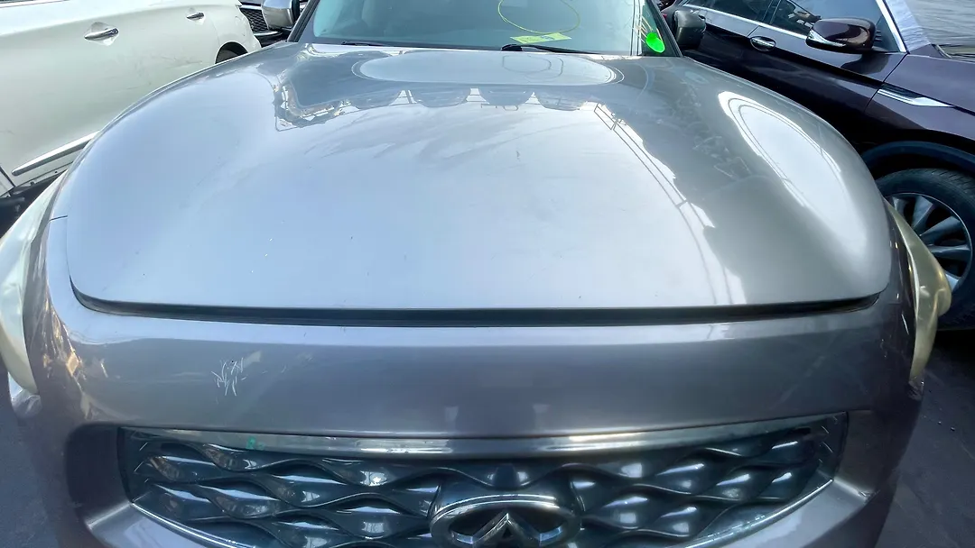 Hood/Bonnet - 2011 Infiniti FX-35