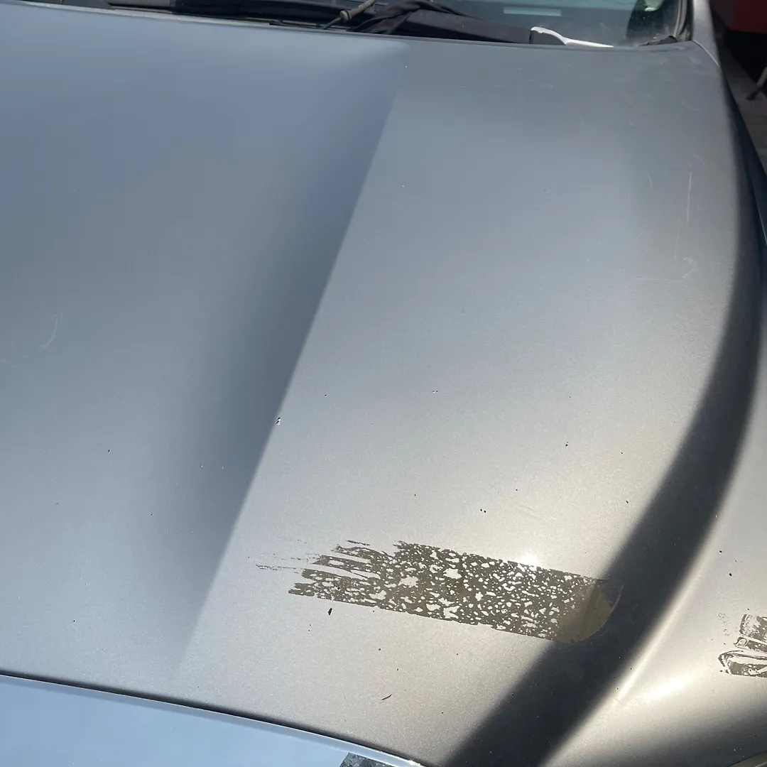 Hood/Bonnet - 2010 Toyota Tundra