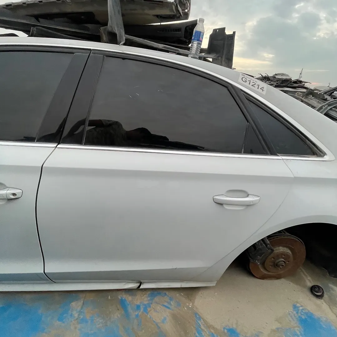 Door (LHB) - 2014 Audi S8