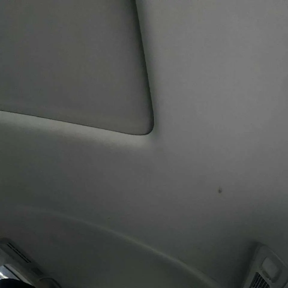 Roof glass - 2011 Infiniti QX56