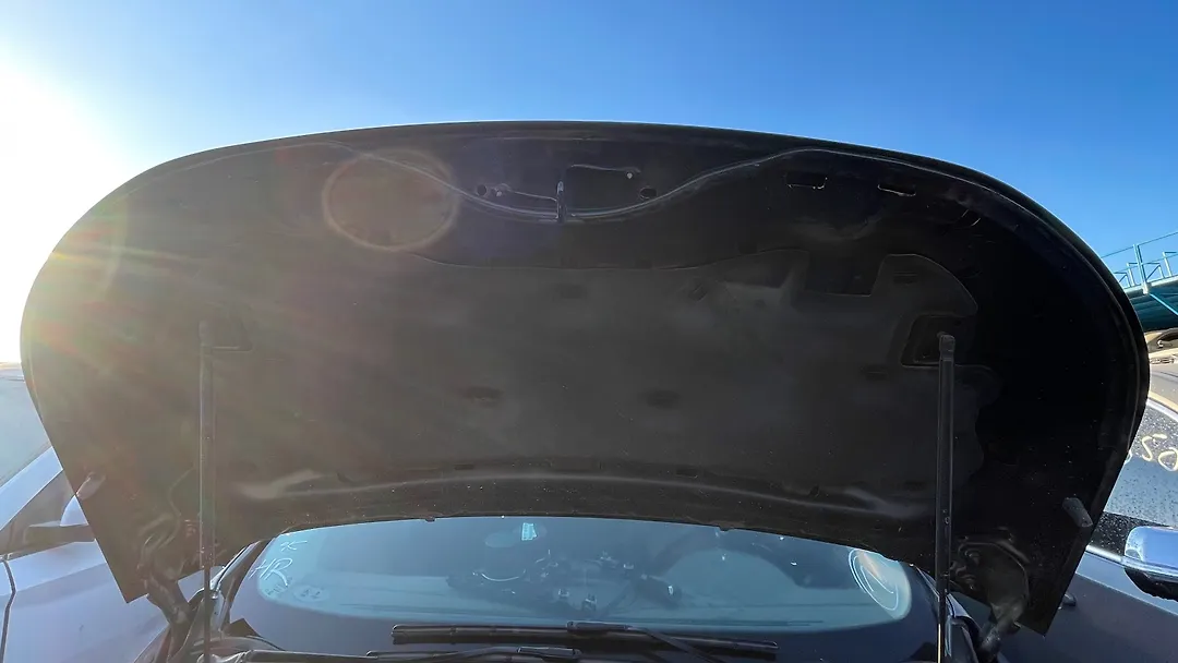 Hood/Bonnet - 2017 Ford Edge SE