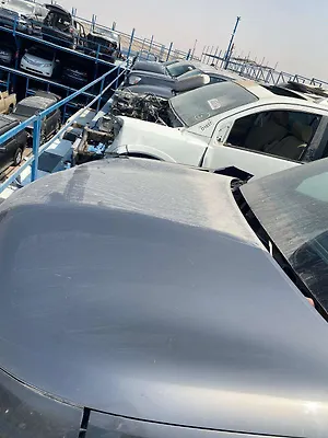 Hood/Bonnet - 2011 Infiniti QX56