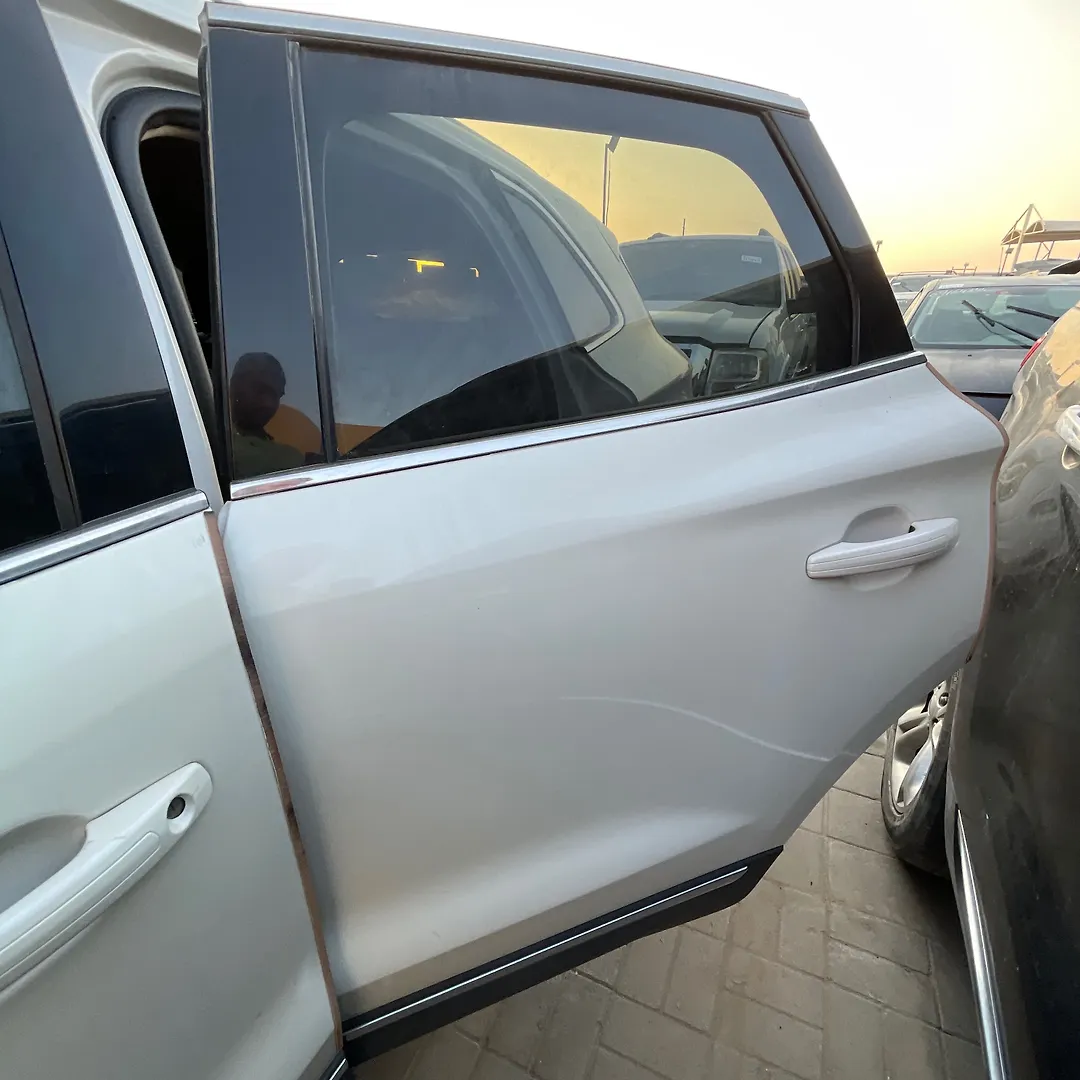 Door (LHB) - 2017 Lincoln MKC Select