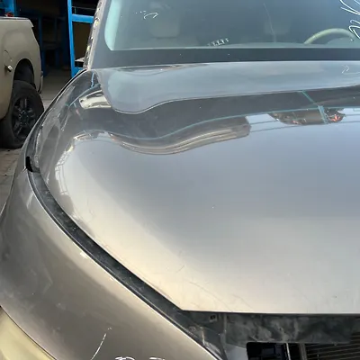 Hood/Bonnet - 2014 Infiniti QX80 SUV