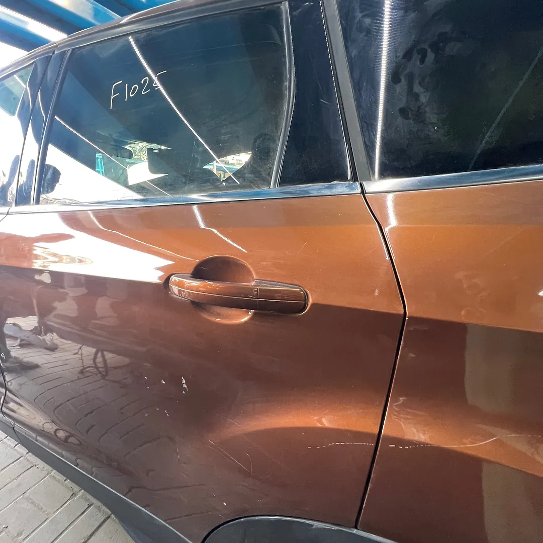 Door (LHB) - 2017 Ford Escape