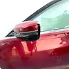 Door (LHF) - 2018 Cadillac CTS Luxury (AWD)