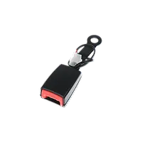 Seat Belt Lock