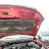 Hood/Bonnet - 2018 Ford Expedition