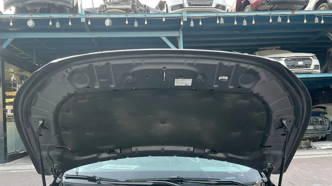 Hood/Bonnet - 2022 Lincoln Corsair