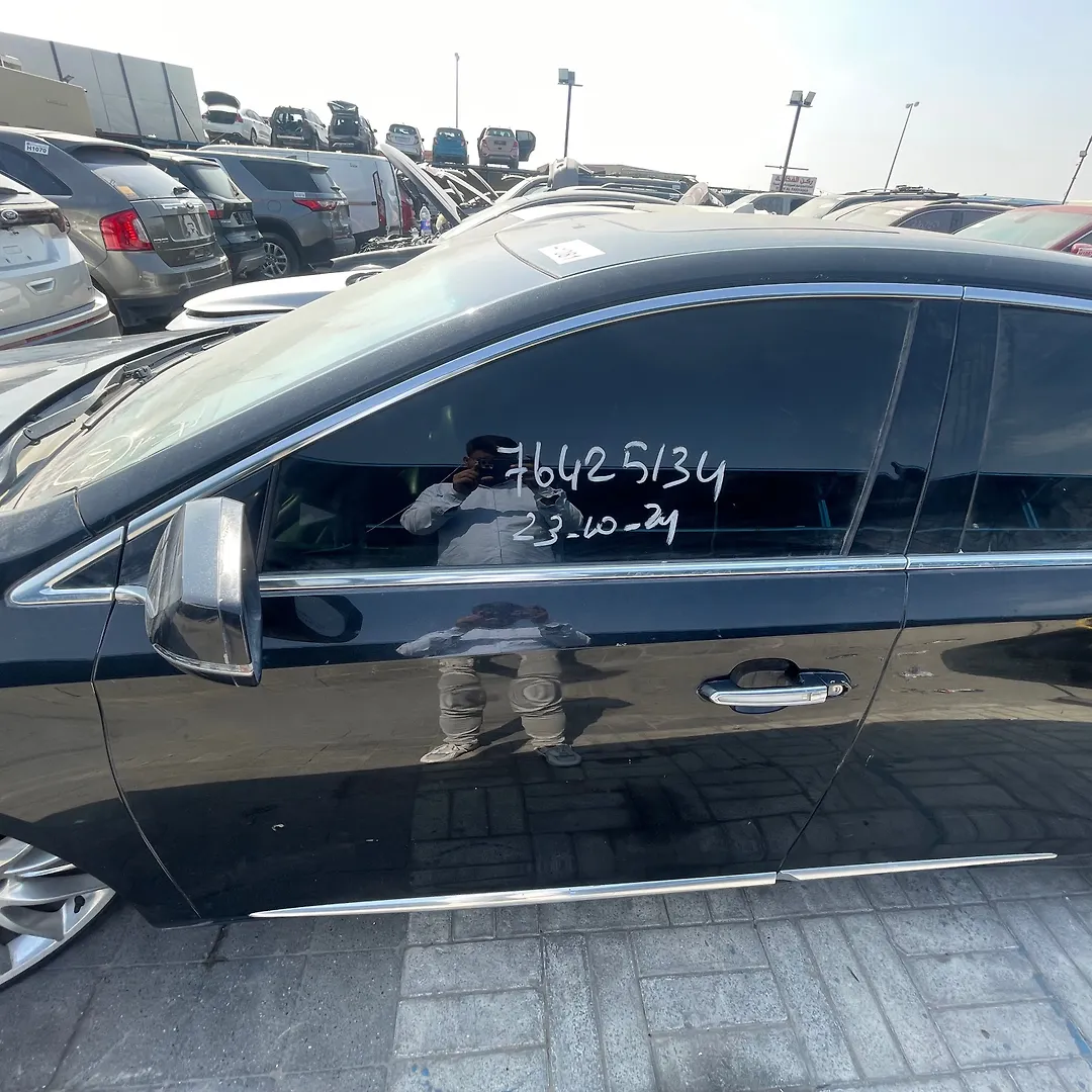 Door (LHF) - 2014 Cadillac XTS