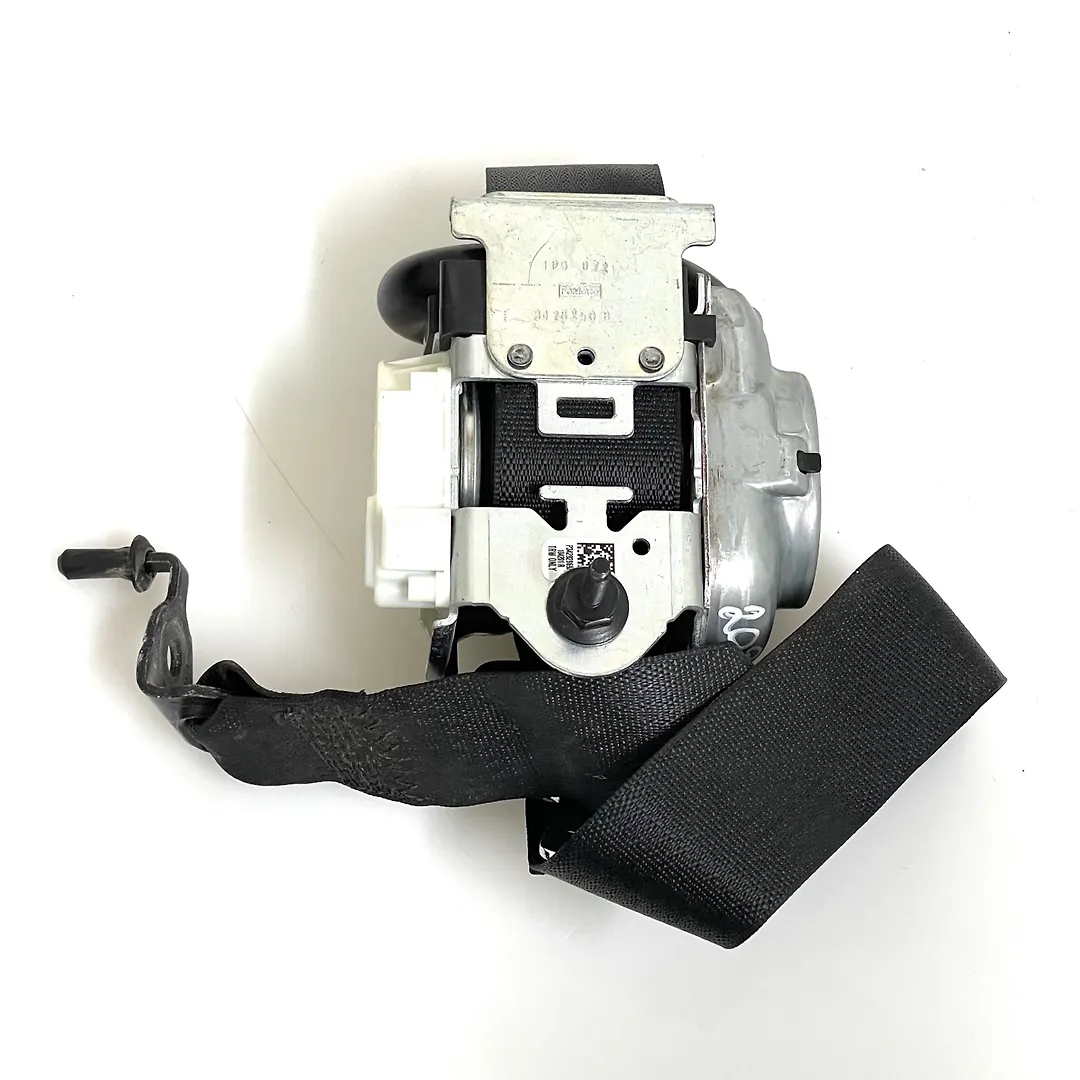 Seat Belt (RHB) - 2020 Ford Explorer Police
