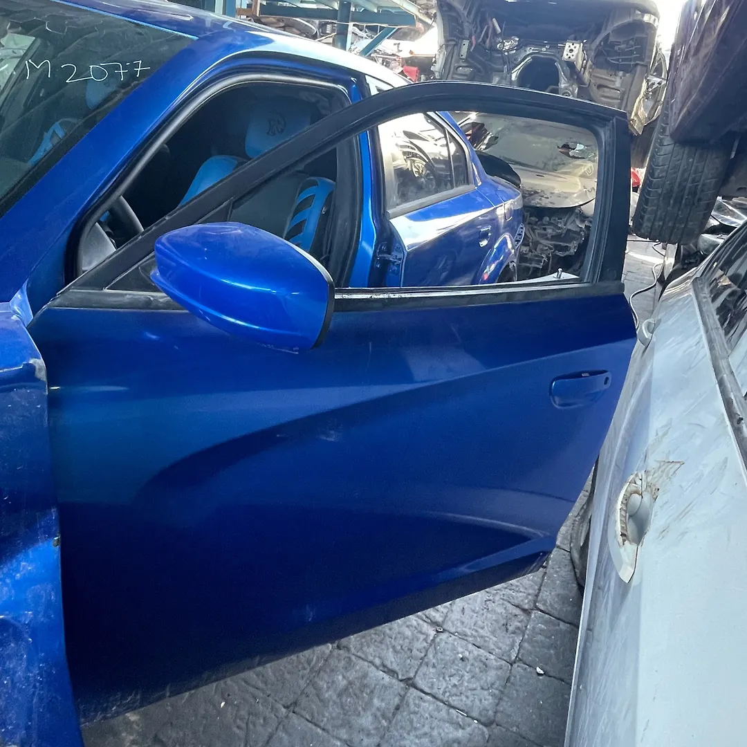 Door (LHF) - 2016 Dodge Charger R/T