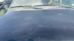 Hood/Bonnet - 2006 Nissan Armada