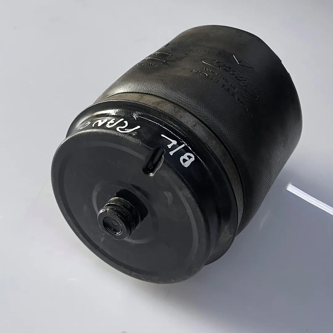Shock Absober (LHB) - 2006 Land Rover RANGE ROVER