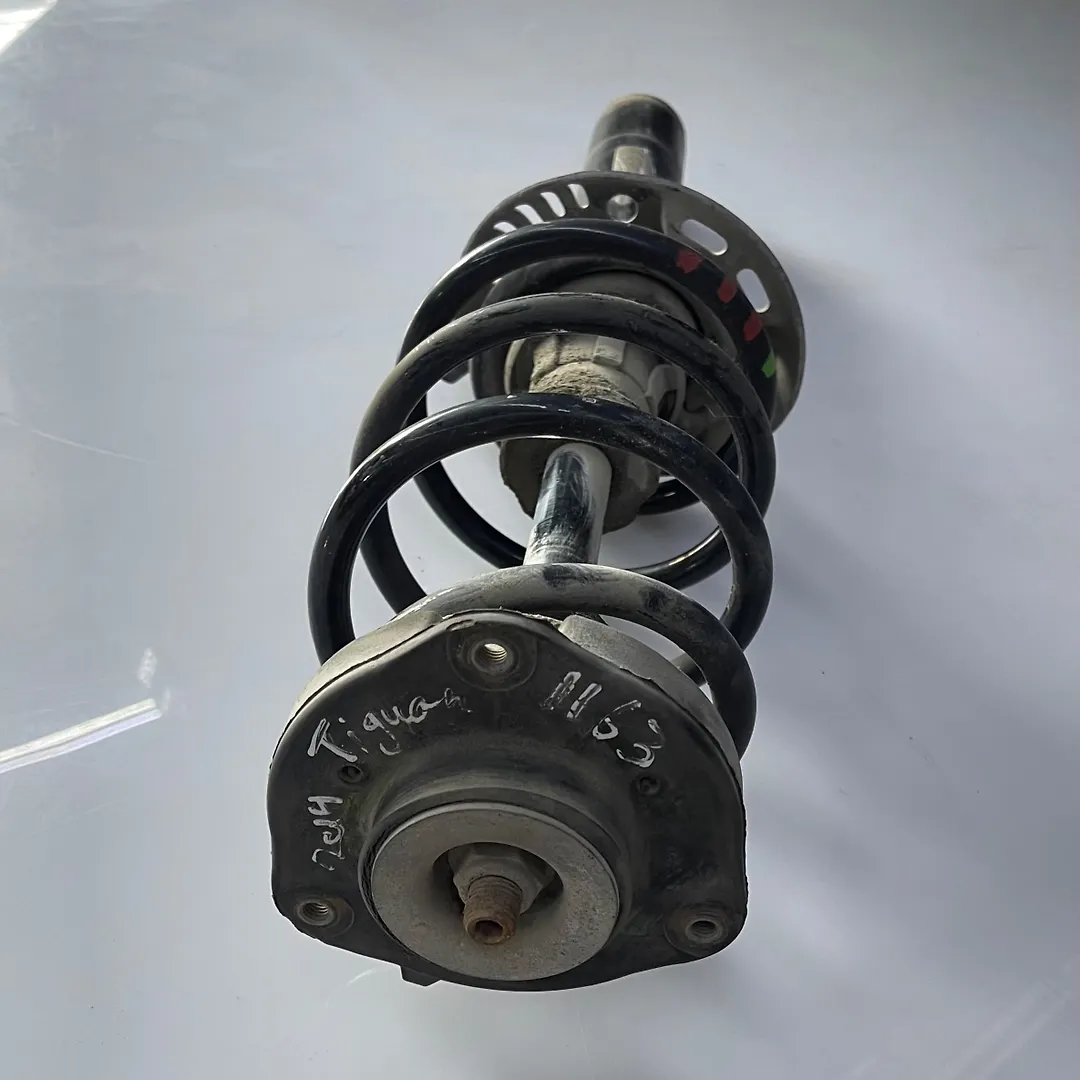 Shock Absorber (RHF) - 2010 Volkswagen Tiguan