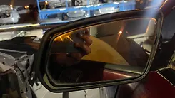 Side Mirror (LH) - 2010 Ford Mustang GT