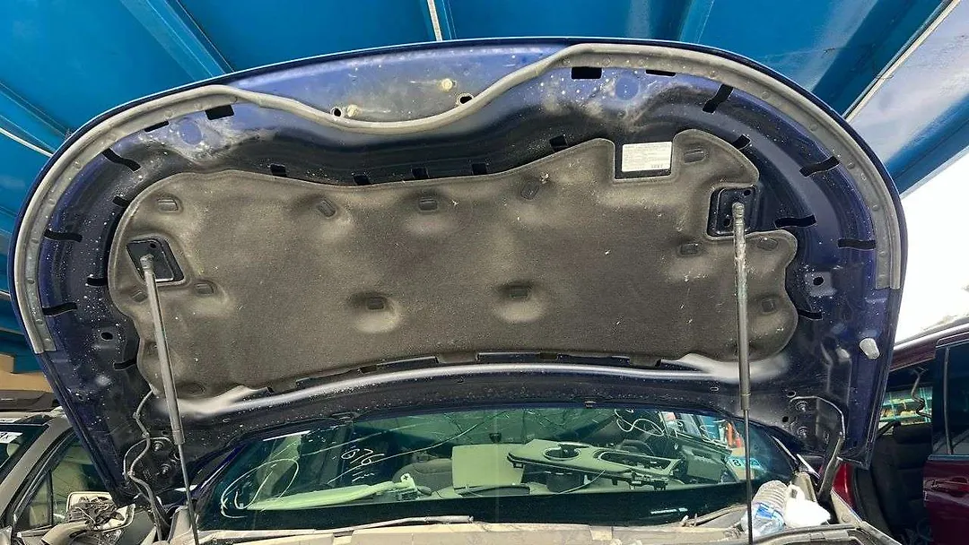 Hood/Bonnet - 2015 Ford Edge