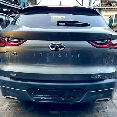 Trunk/hatch/tailgate - 2023 Infiniti QX55