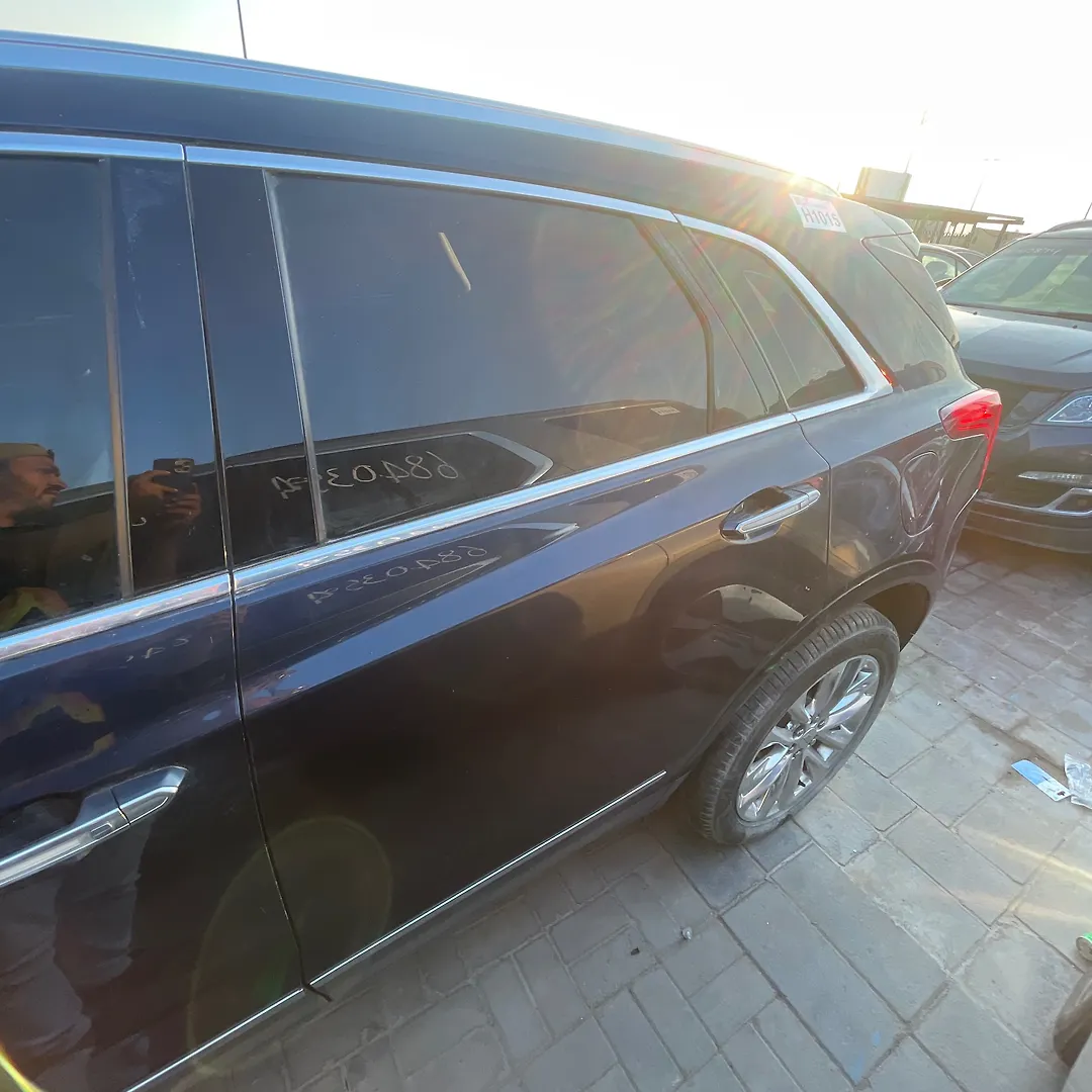 Door (LHB) - 2017 Cadillac XT5