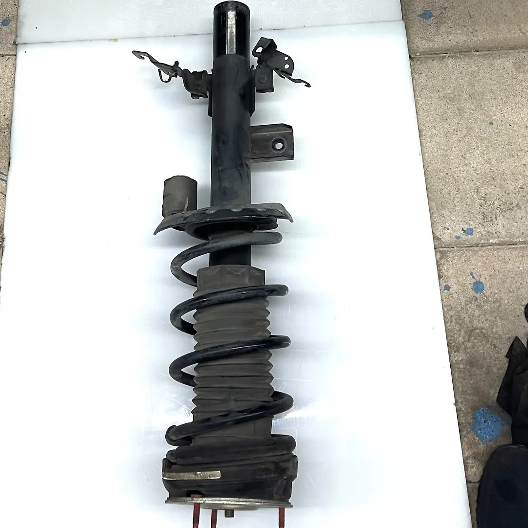 Shock Absober (LHB) - 2012 Land Rover RANGE ROVER EVOQUE