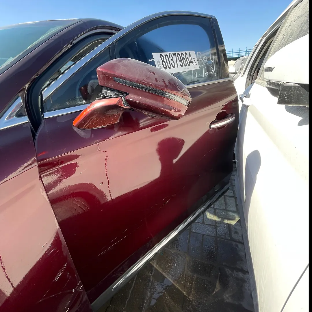 Door (LHF) - 2018 Lincoln MKX