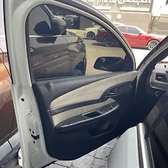 Door (LHF) - 2014 Chevrolet Caprice