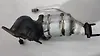 Catalytic converter - 2017 Ford Edge