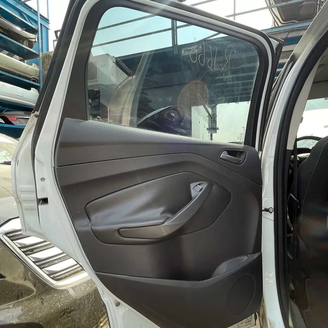 Door (LHB) - 2019 Ford Escape