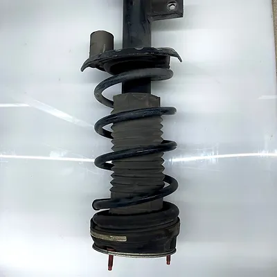 Shock Absober (LHB) - 2012 Land Rover RANGE ROVER EVOQUE