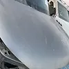 Hood/Bonnet - 2013 Infiniti QX56