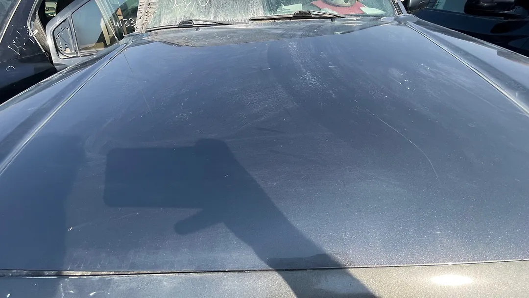 Hood/Bonnet - 2014 Toyota Tacoma Delux Grade