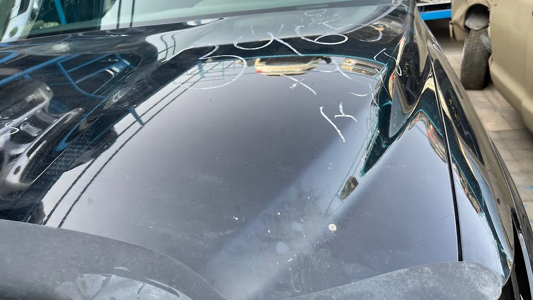 Hood/Bonnet - 2008 Toyota Tundra SR5