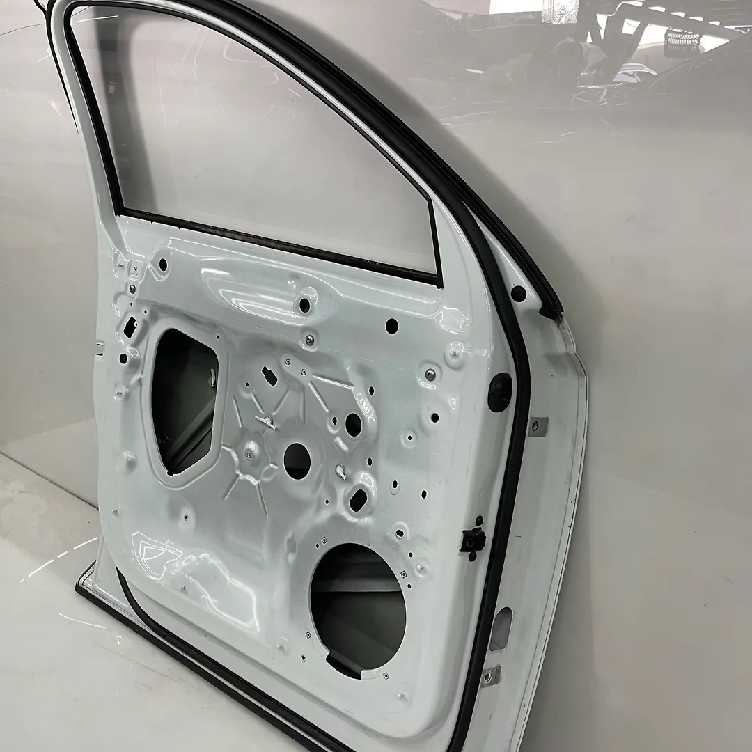 Door (LHF) - 2020 Audi Q3