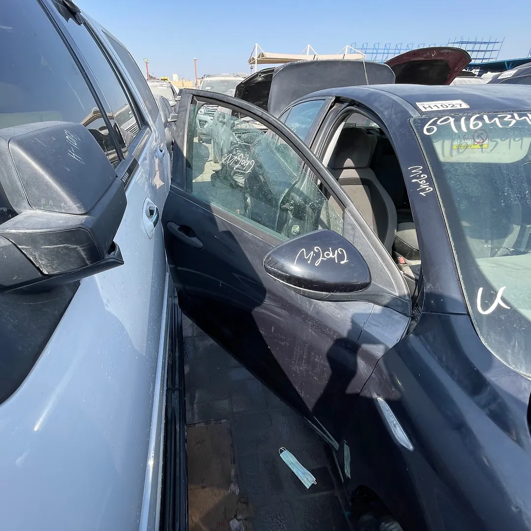 Door (RHF) - 2017 Dodge Neon