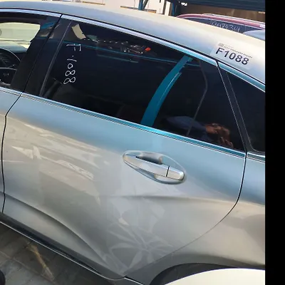 Door (LHB) - 2017 Chevrolet Impala