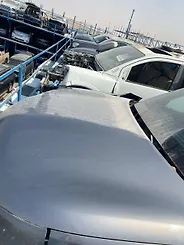 Hood/Bonnet - 2011 Infiniti QX56
