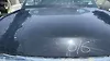 Hood/Bonnet - 2013 Infiniti QX56