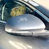 Side Mirror (RH) - 2013 Jaguar XJ