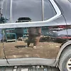 Door (LHB) - 2019 Chevrolet Traverse
