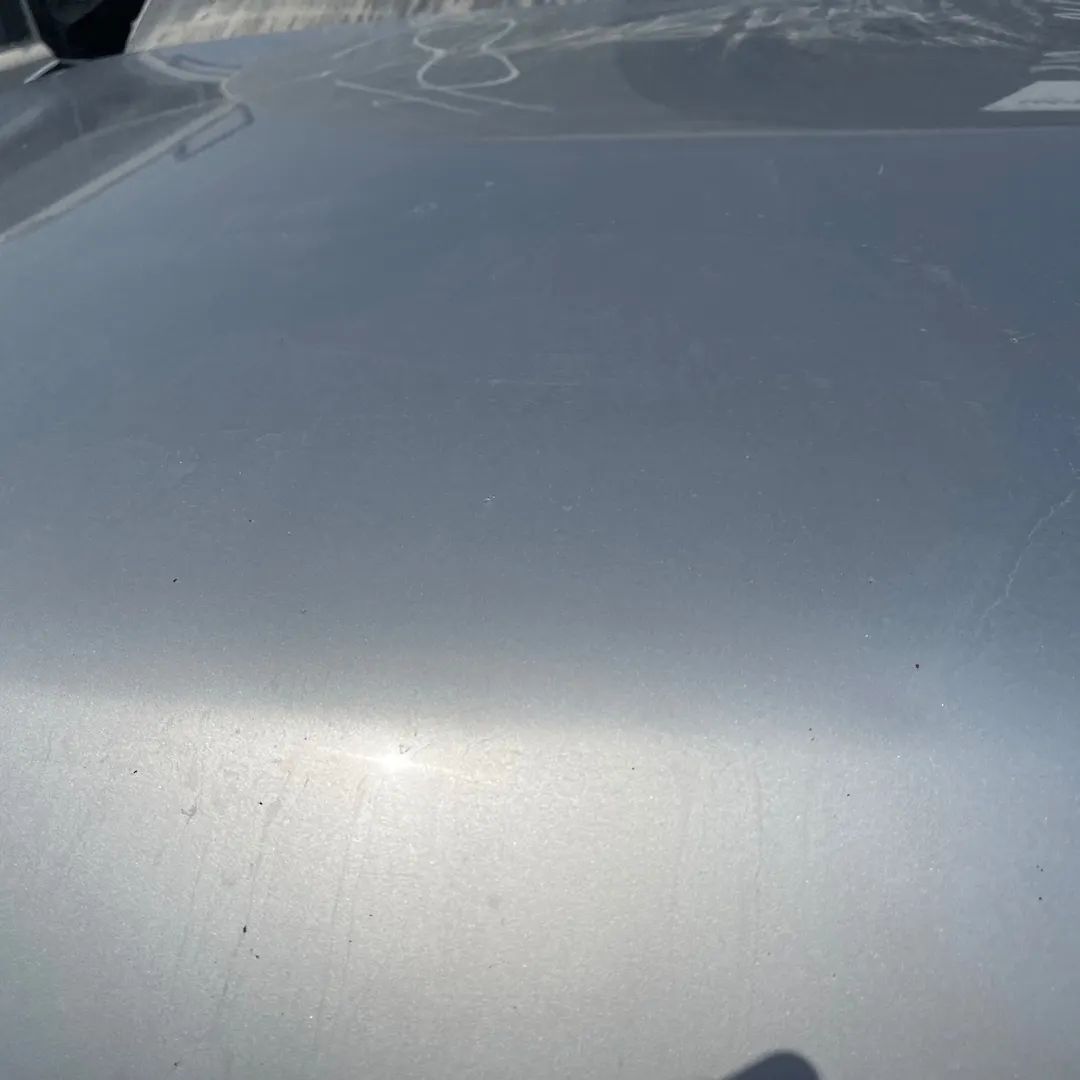 Hood/Bonnet - 2014 Infiniti QX56