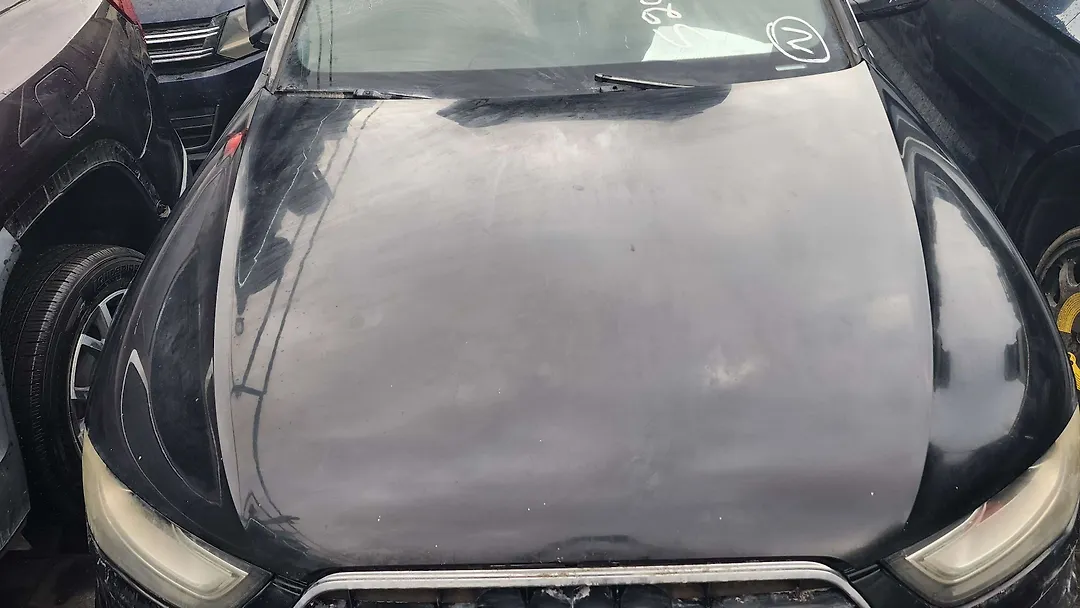 Hood/Bonnet - 2015 Audi A4 Quattro