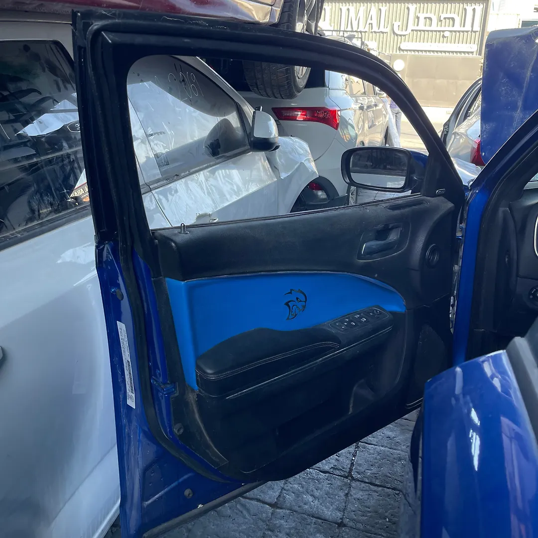 Door (LHF) - 2016 Dodge Charger R/T