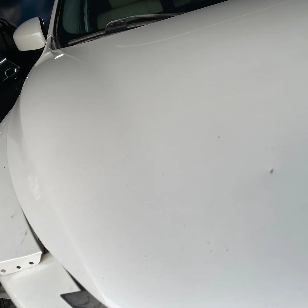 Hood/Bonnet - 2015 Infiniti QX60