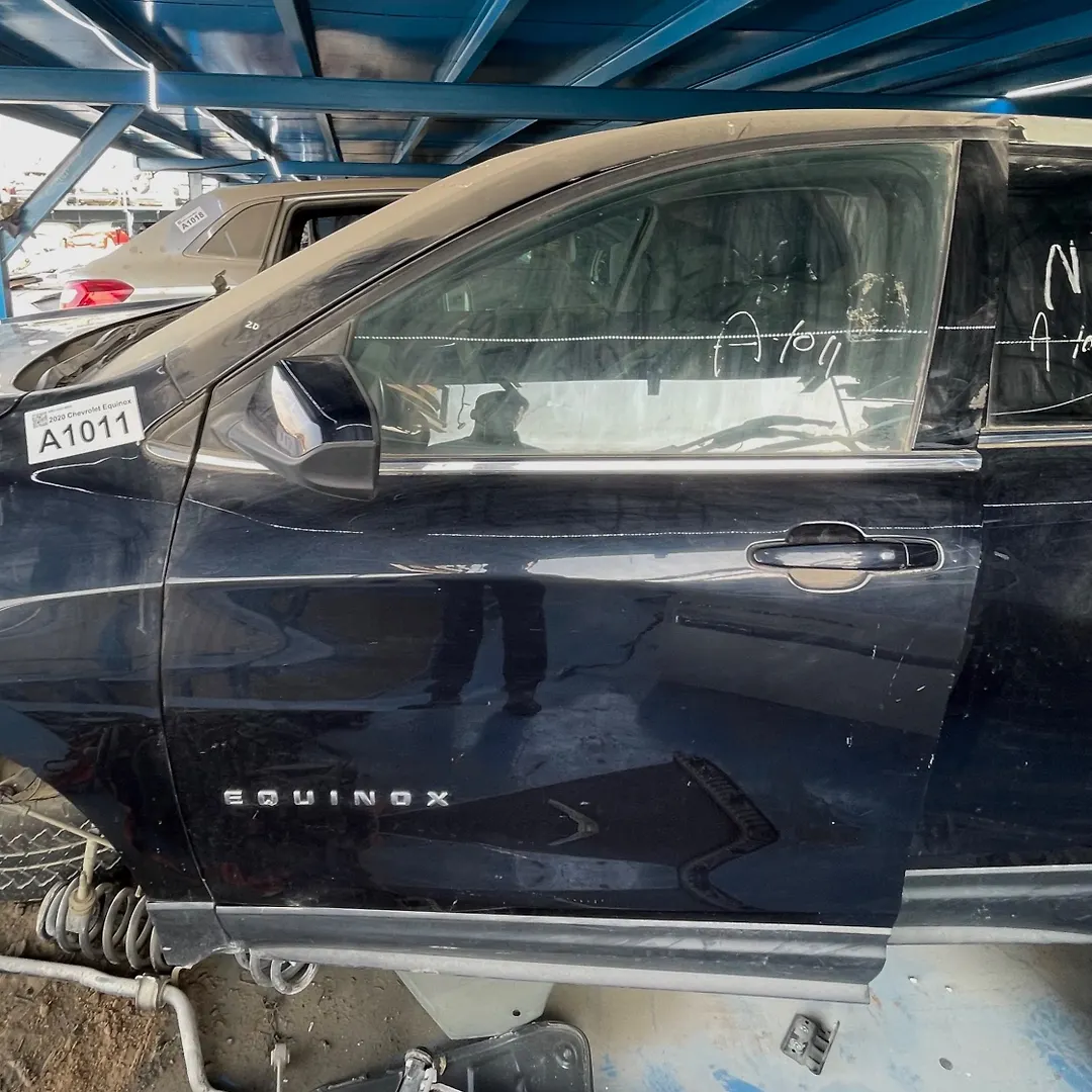 Door (LHF) - 2020 Chevrolet Equinox