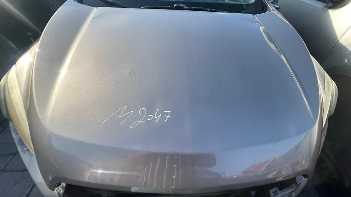 Hood/Bonnet - 2015 Chevrolet Trax