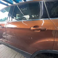 Door (LHB) - 2017 Ford Escape