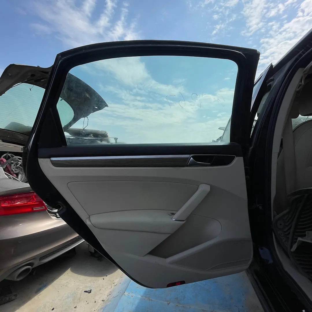 Door (LHB) - 2018 Volkswagen Passat