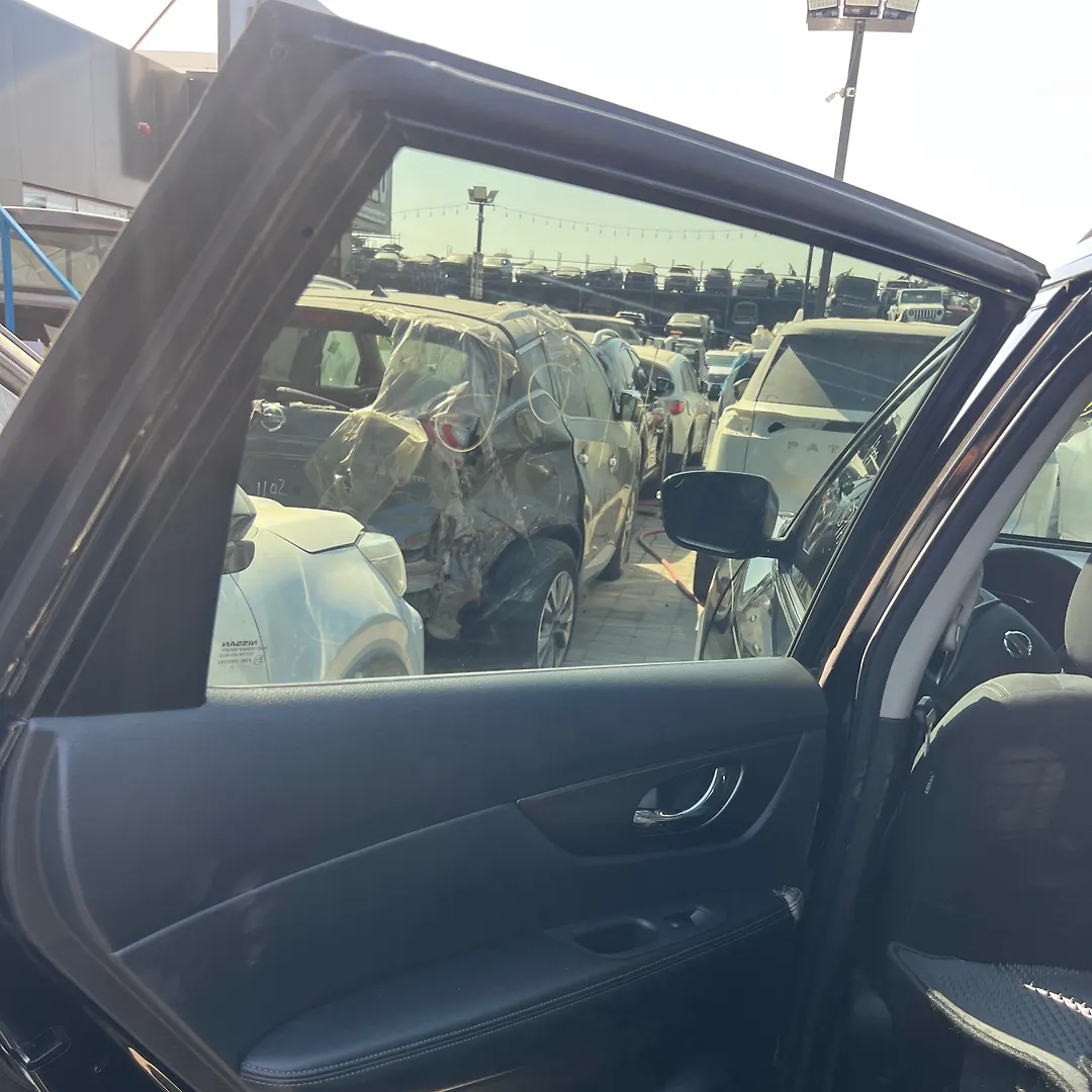 Door (LHB) - 2015 Nissan Rogue