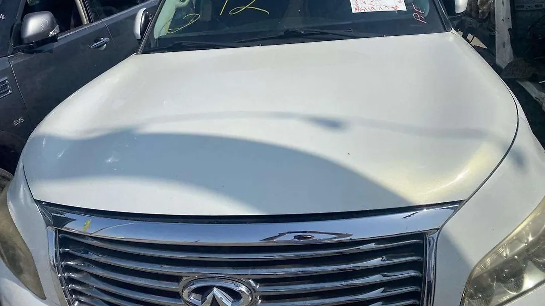 Hood/Bonnet - 2011 Infiniti QX56