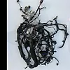 Wiring (Engine) - 2020 Chevrolet Traverse